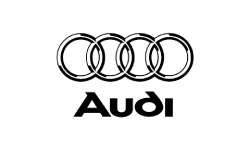 audi (2)